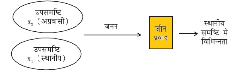 नोट्स, पाठ - 9 आनुवंशिकता एवं जैव विकास (कक्षा दसंवी) - Class 10