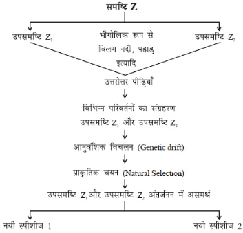 नोट्स, पाठ - 9 आनुवंशिकता एवं जैव विकास (कक्षा दसंवी) - Class 10