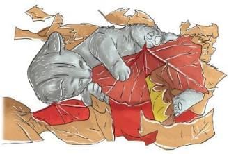 Summary: The Kitten at Play | English Class 3 ICSE