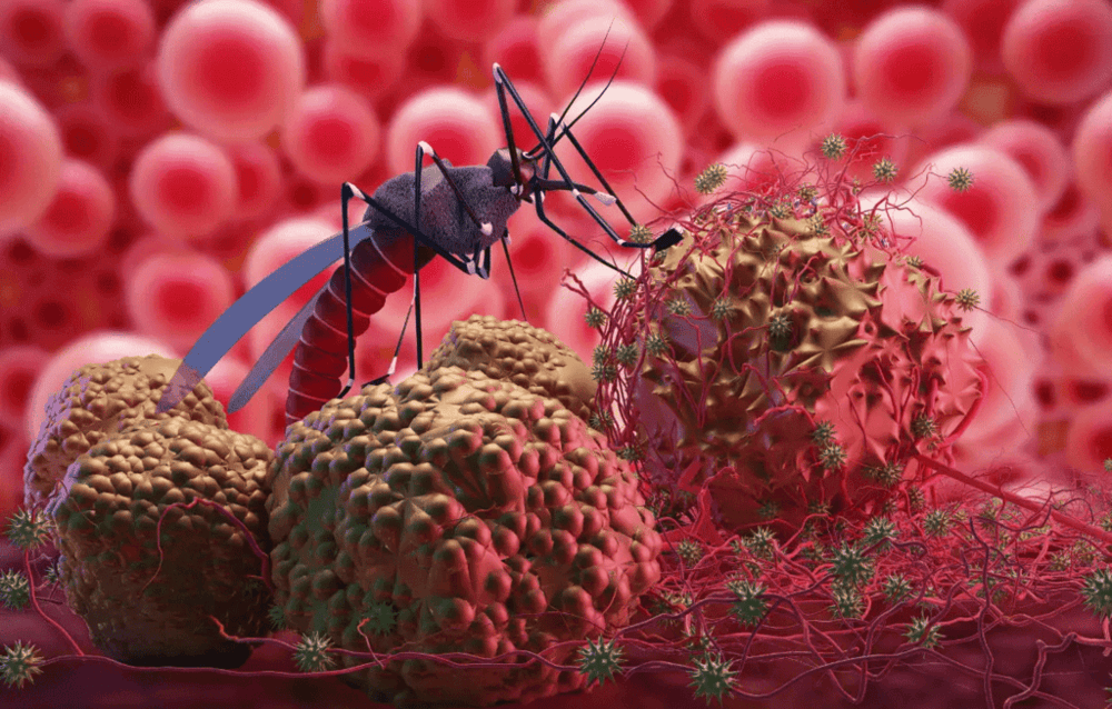 Innovative Strategies in Malaria Prevention
