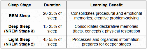 4.2 Sleep Stages and Learning