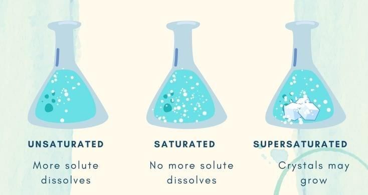 Short and Long Answer Questions: The Amazing World of Solutes, Solvents, and Solutions | Science Curiosity Class 8 -  New NCERT