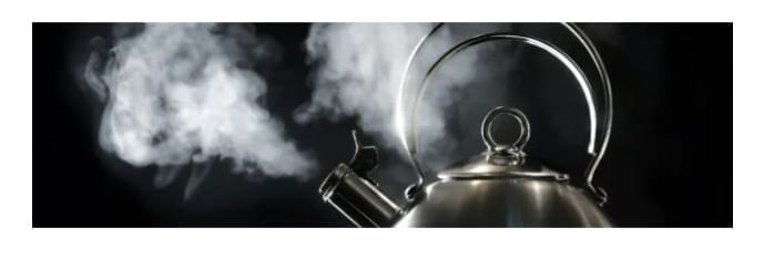 Important Questions: The Wonderful World of Science | Science for Class 6