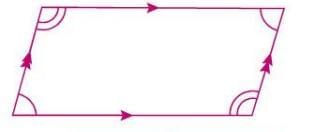 Triangles and Quadrilaterals Chapter Notes | Mathematics Class 6 ICSE