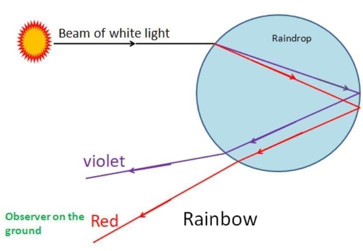 Class 8 Science: Sample Paper Solutions - 5 | Sample Papers For Class 8