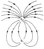 HC Verma Questions and Solutions: Chapter 29: Electric Field & Potential- 1 | HC Verma Solutions - JEE