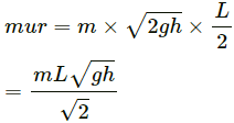 HC Verma Questions and Solutions: Chapter 10: Rotational Mechanics- 2 | HC Verma Solutions - JEE