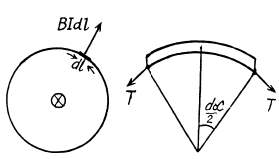 Irodov Solutions: Constant Magnetic Field Magnetics | I. E. Irodov Solutions for Physics Class 11 & Class 12 - JEE