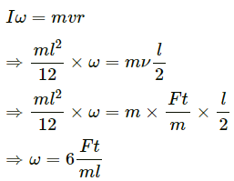 HC Verma Questions and Solutions: Chapter 10: Rotational Mechanics- 2 | HC Verma Solutions - JEE