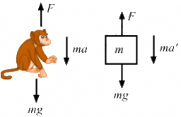 HC Verma Questions and Solutions: Chapter 5- Newton`s Laws of Motion- 2 | HC Verma Solutions - JEE