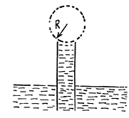 Irodov Solutions: Liquids Capillary Effects | Physics Class 11 - NEET