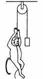 HC Verma Questions and Solutions: Chapter 5- Newton`s Laws of Motion- 2 | HC Verma Solutions - JEE