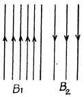 Irodov Solutions: Constant Magnetic Field Magnetics | I. E. Irodov Solutions for Physics Class 11 & Class 12 - JEE