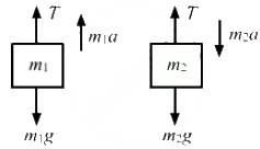 HC Verma Questions and Solutions: Chapter 5- Newton`s Laws of Motion- 2 | HC Verma Solutions - JEE