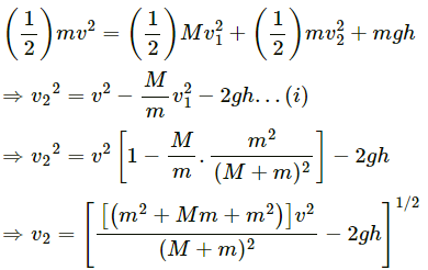 HC Verma Questions and Solutions: Chapter 9: Centre of Mass, Linear Momentum, Collision- 2 | HC Verma Solutions - JEE