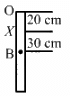 HC Verma Questions and Solutions: Chapter 12: Simple Harmonics Motion- 2 | HC Verma Solutions - JEE
