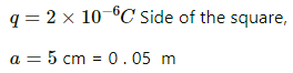 HC Verma Questions and Solutions: Chapter 29: Electric Field & Potential- 2 | HC Verma Solutions - JEE