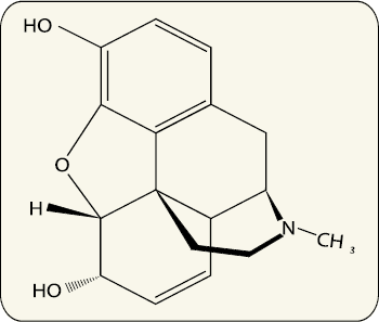 Chemical structure of Morphine