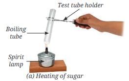 NCERT Based Activity: Nature of Matter: Elements, Compounds, and Mixtures | Science Curiosity Class 8 -  New NCERT