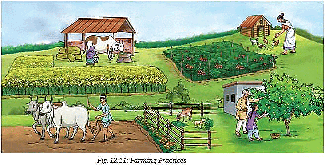 How Nature Works in Harmony NCERT Solutions | Science Curiosity Class 8 -  New NCERT