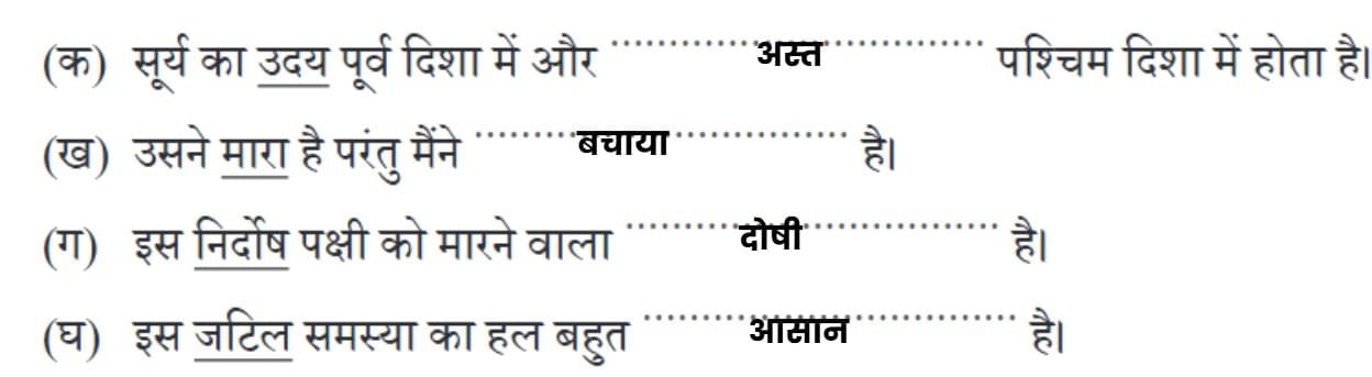 न्याय NCERT Solutions | Hindi Class 5 वीणा - New NCERT