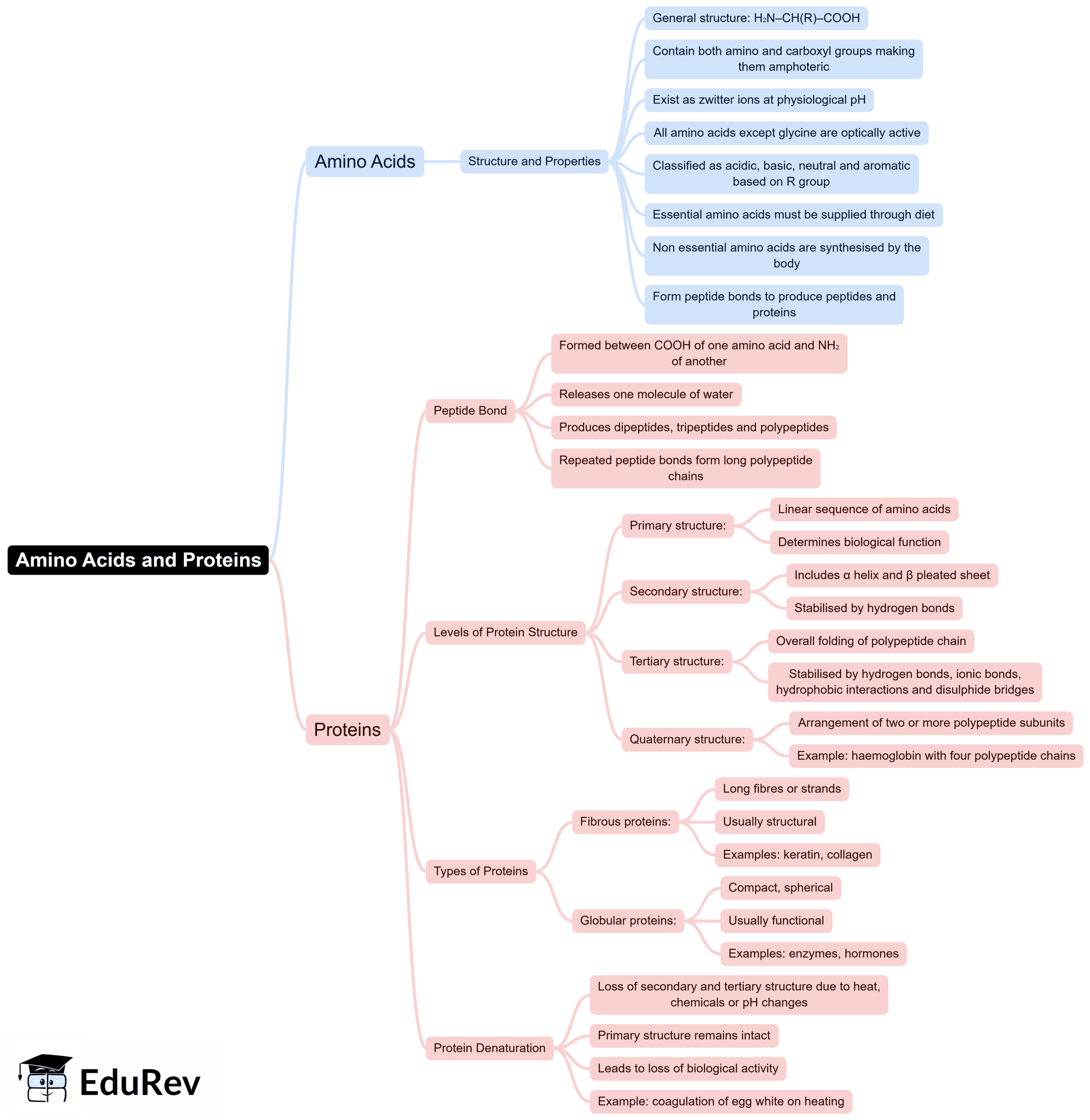 Mind Map: Biomolecules