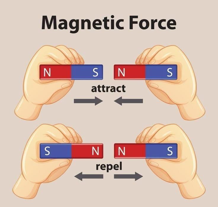 Case Based Questions: Exploring Magnets | Science for Class 6