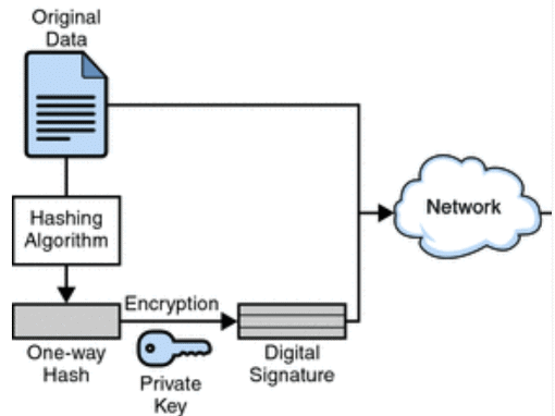 Digital Signatures & Certificates | Computer Networks - Computer Science Engineering (CSE)