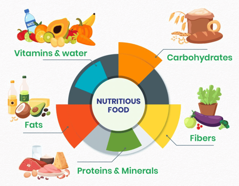 Nutritious Food