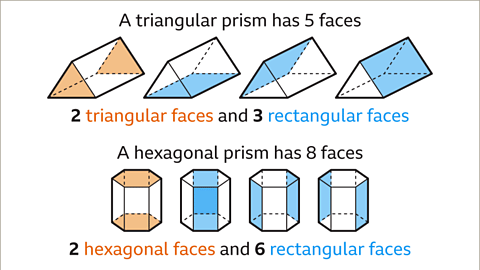 Properties of 3D Shapes - Year 7