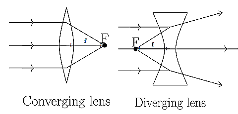 Light: Mirrors and Lenses NCERT Solutions | Science Curiosity Class 8 -  New NCERT