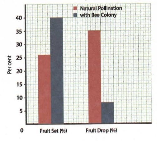 Revise, Reflect, Refine 
