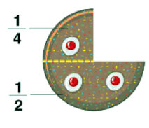 What are Fractions | Elementary Mathematics for CDS