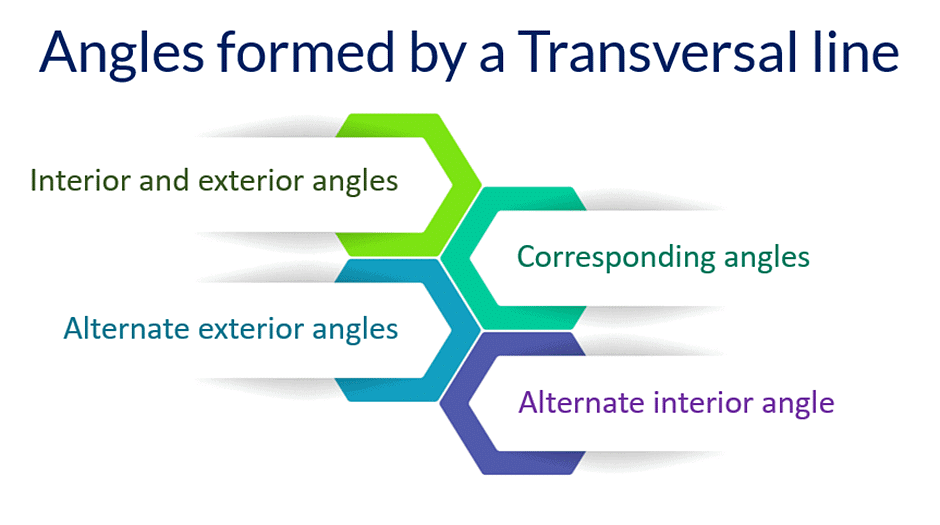 Introduction to Lines & Angles | The Complete SAT Course - Class 10