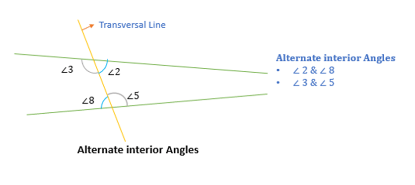Introduction to Lines & Angles | The Complete SAT Course - Class 10