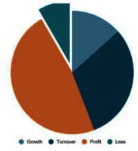 Overview: Pie Chart - CAT