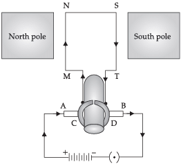 Class 10 Science: CBSE Sample Question Paper- Term II (2021-22) - 2 | Science Class 10