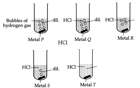 Class 10 Science: CBSE Sample Question Paper- Term I (2021-22) - 4 | Science Class 10