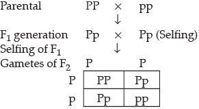 Class 10 Science: CBSE Sample Question Paper- Term II (2021-22) - 2 | Science Class 10
