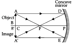 Class 10 Science: CBSE Sample Question Paper- Term I (2021-22) - 4 | Science Class 10