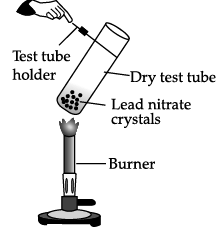 Class 10 Science: CBSE Sample Question Paper- Term I (2021-22) - 2 | Science Class 10