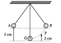 Class 9 Science: Sample Question Paper Term II- 2 (With Solutions) | Science Class 9