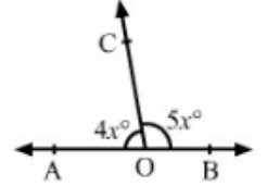 Class 9 Math: Sample Question Paper Term I- 2 (With Solutions) | Mathematics (Maths) Class 9
