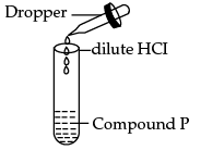 Class 10 Science: CBSE Sample Question Paper- Term I (2021-22) - 3 | Science Class 10