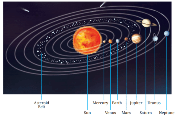 Class 6 Science: Sample Paper Solutions - 1 | Sample Papers For Class 6