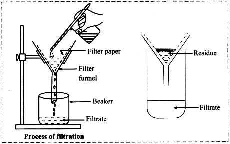 Class 6 Science: Sample Paper Solutions - 2 | Sample Papers For Class 6