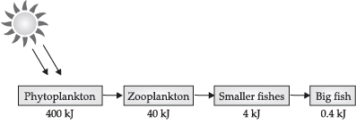 Class 10 Science: CBSE Sample Question Paper- Term II (2021-22) - 4 | Science Class 10