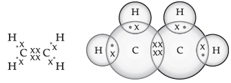 Class 10 Science: CBSE Sample Question Paper- Term II (2021-22) - 2 | Science Class 10