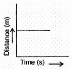 Class 9 Science: Sample Question Paper Term I- 7 (With Solutions) | Science Class 9