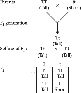 Class 10 Science: CBSE Sample Question Paper- Term II (2021-22) - 2 | Science Class 10